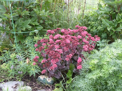 DSCN9184.JPG