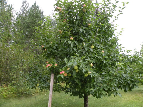 DSCN9191.JPG