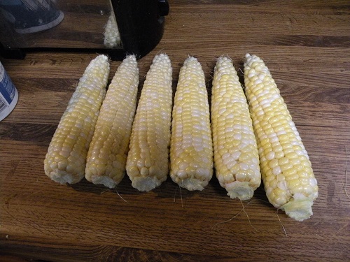 DSCN9195.JPG