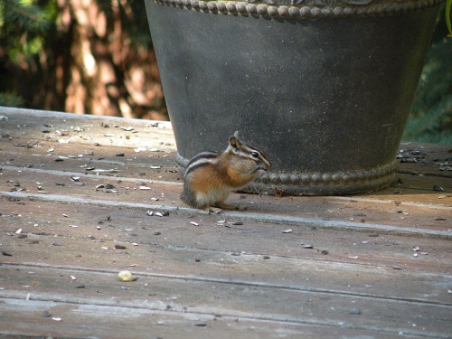 DSCN9202.JPG