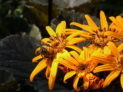 DSCN9228.JPG
