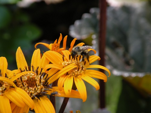 DSCN9230.JPG