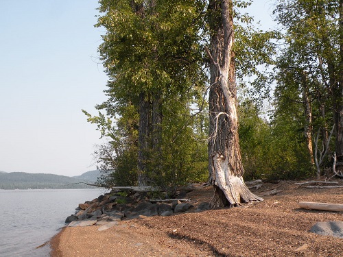 DSCN9254.JPG
