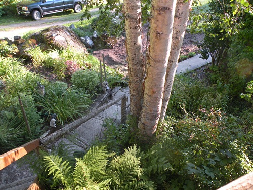 DSCN9327.JPG