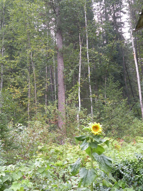 DSCN9365.JPG