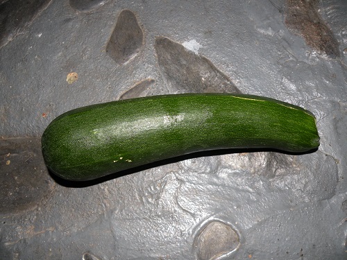 DSCN9407.JPG