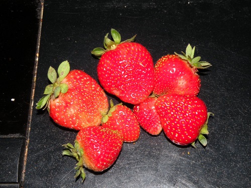 DSCN9451.JPG