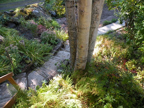 DSCN9455.JPG