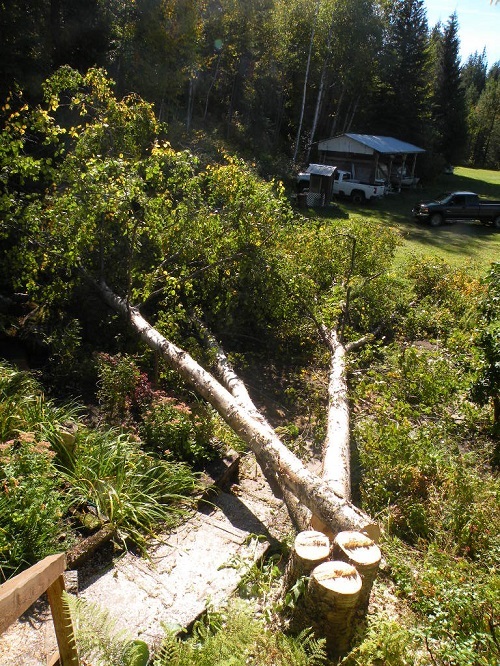 DSCN9466.JPG