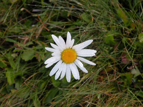 DSCN9594.JPG