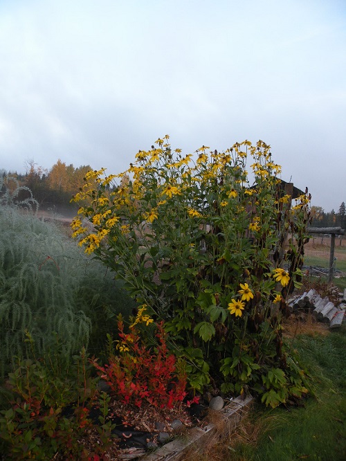 DSCN9595.JPG