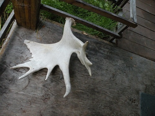 DSCN9603.JPG