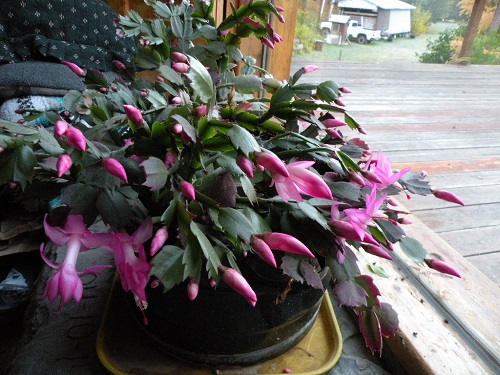 DSCN9625.JPG