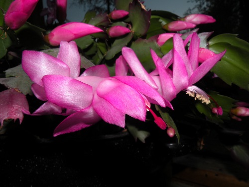 DSCN9626.JPG