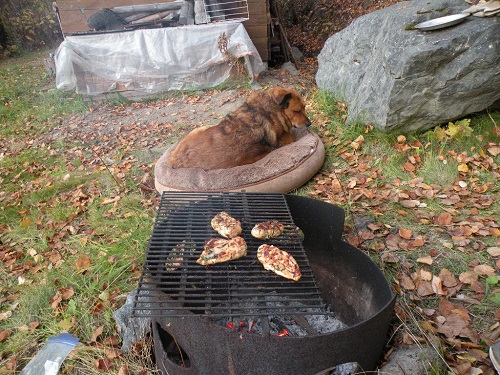 DSCN9637.JPG