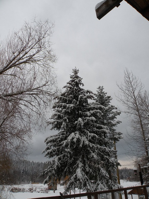 DSCN9718.JPG