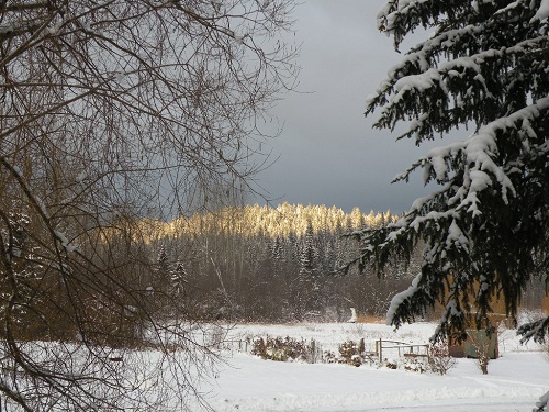 DSCN9736.JPG
