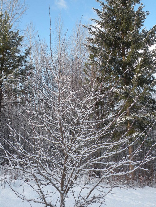 DSCN9809.JPG