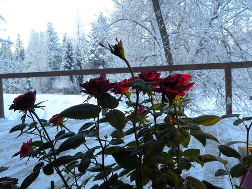 DSCN9839.JPG