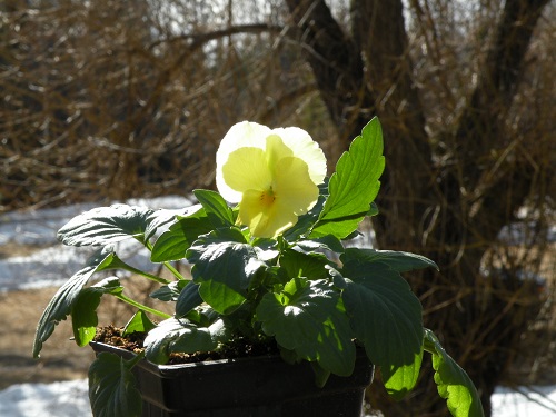 DSCN9877.JPG