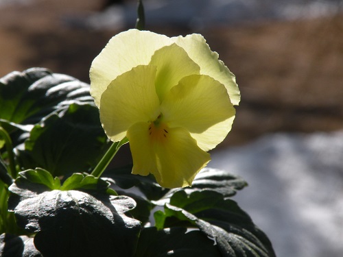 DSCN9879.JPG