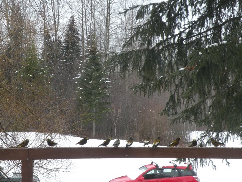 DSCN9891.JPG