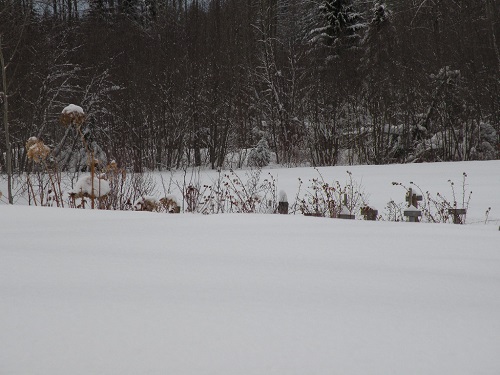 DSCN9895.JPG