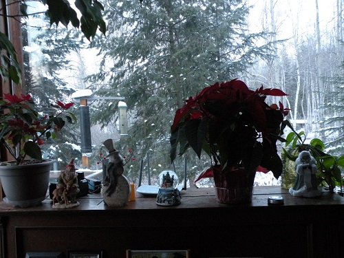 DSCN9903.JPG