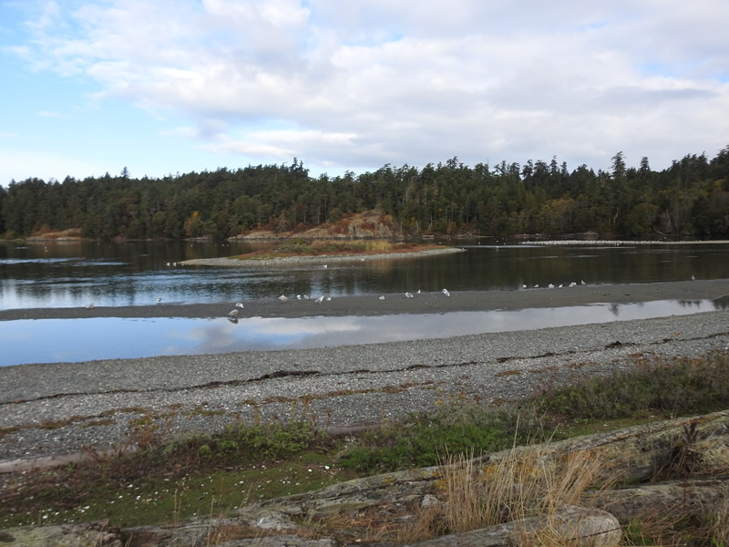 DSCN9913.JPG