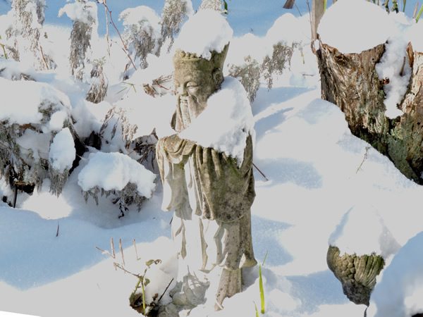 DSCN9929.JPG