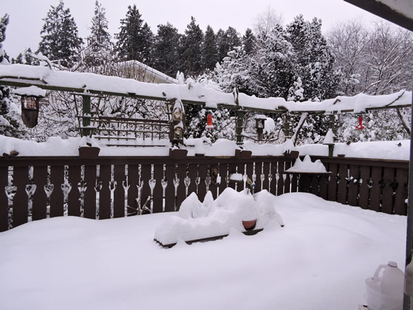 DSCN9938.JPG