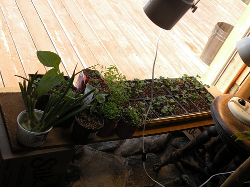 DSCN9978.JPG