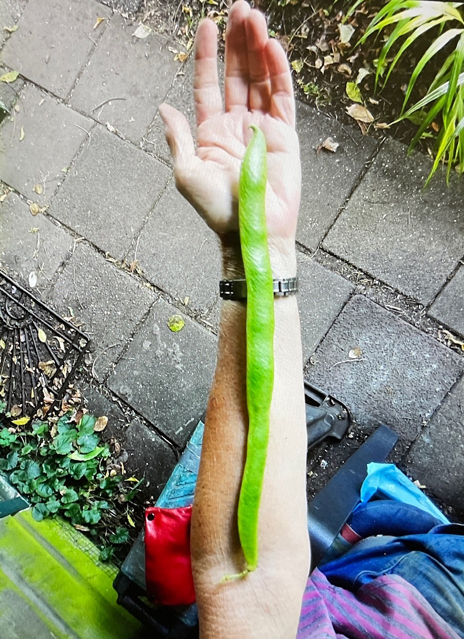 E11E434C-5D2C-417C-83E7-9169325E8E6D.jpeg
