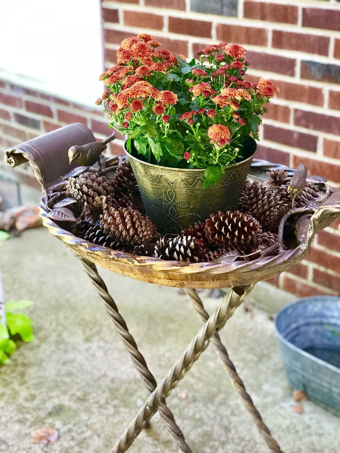 E3520266-5337-412E-9B5E-C8B6AB5D197E.jpeg