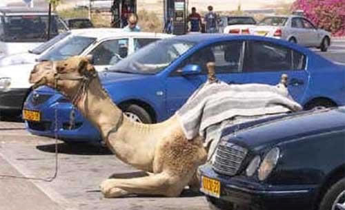 e52e56de9d68b8c7e831d572c6cf4325--parking-space-parking-lot.jpg