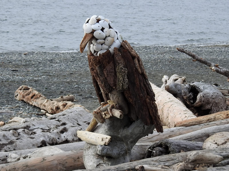 eagle.jpg