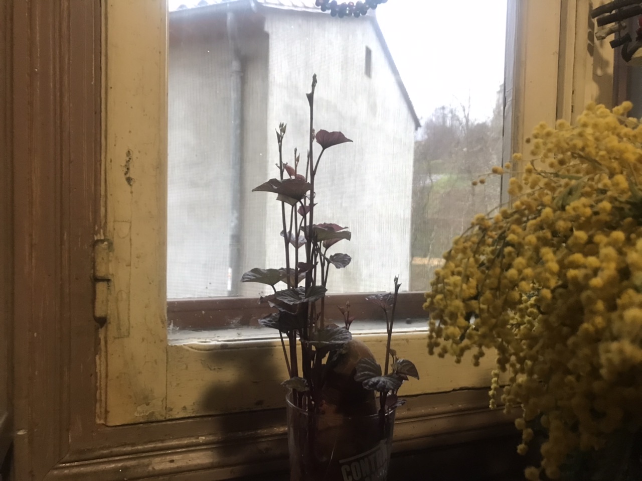 ED0935AA-0CDE-42E2-BA02-7F85D7E40658.jpeg