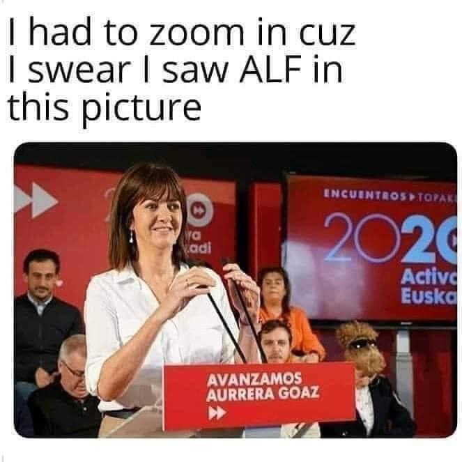 ej4pjln68d2e1.jpeg