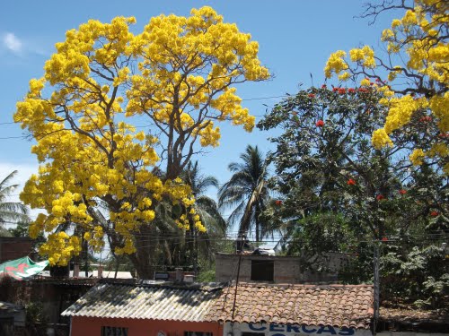 el centro 12.jpg
