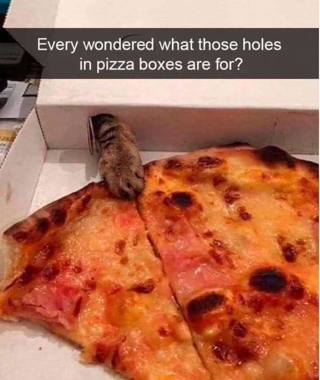 every-wondered-those-holes-pizza-boxes-are.png