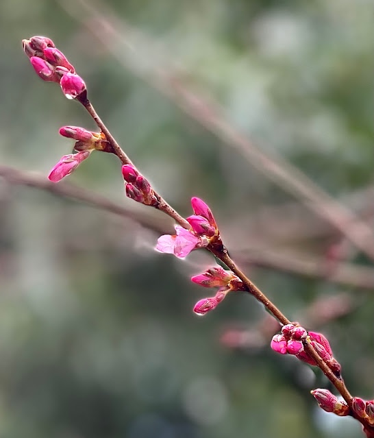 F6307862-377D-4367-87F9-605E9B63835B.jpeg