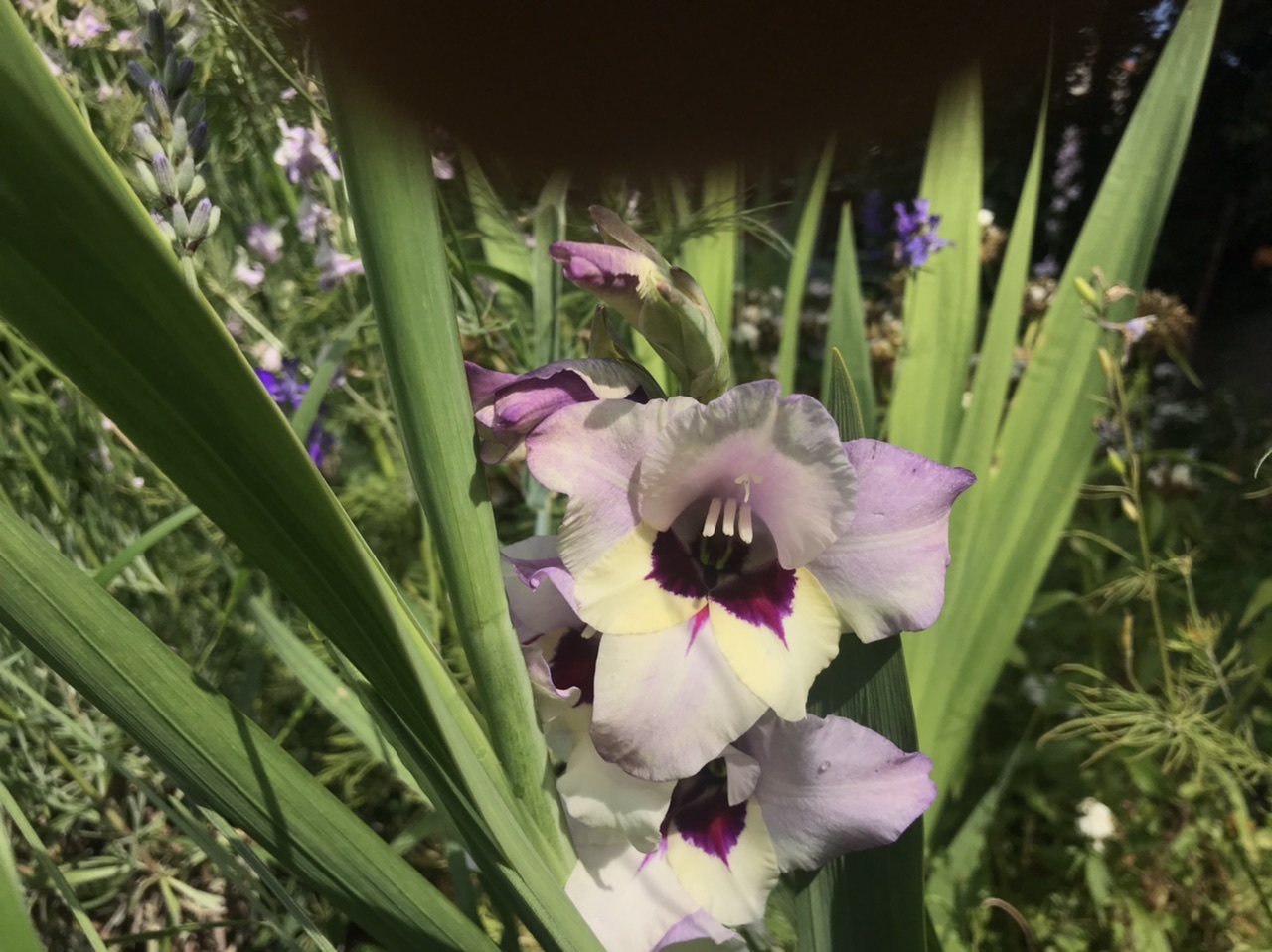 F738210D-6A4F-4C81-805F-3BF72088AE13.jpeg
