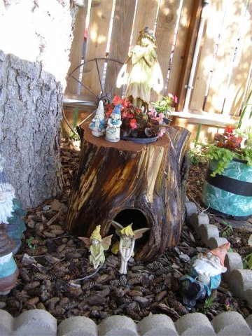 fairy home (Medium).JPG
