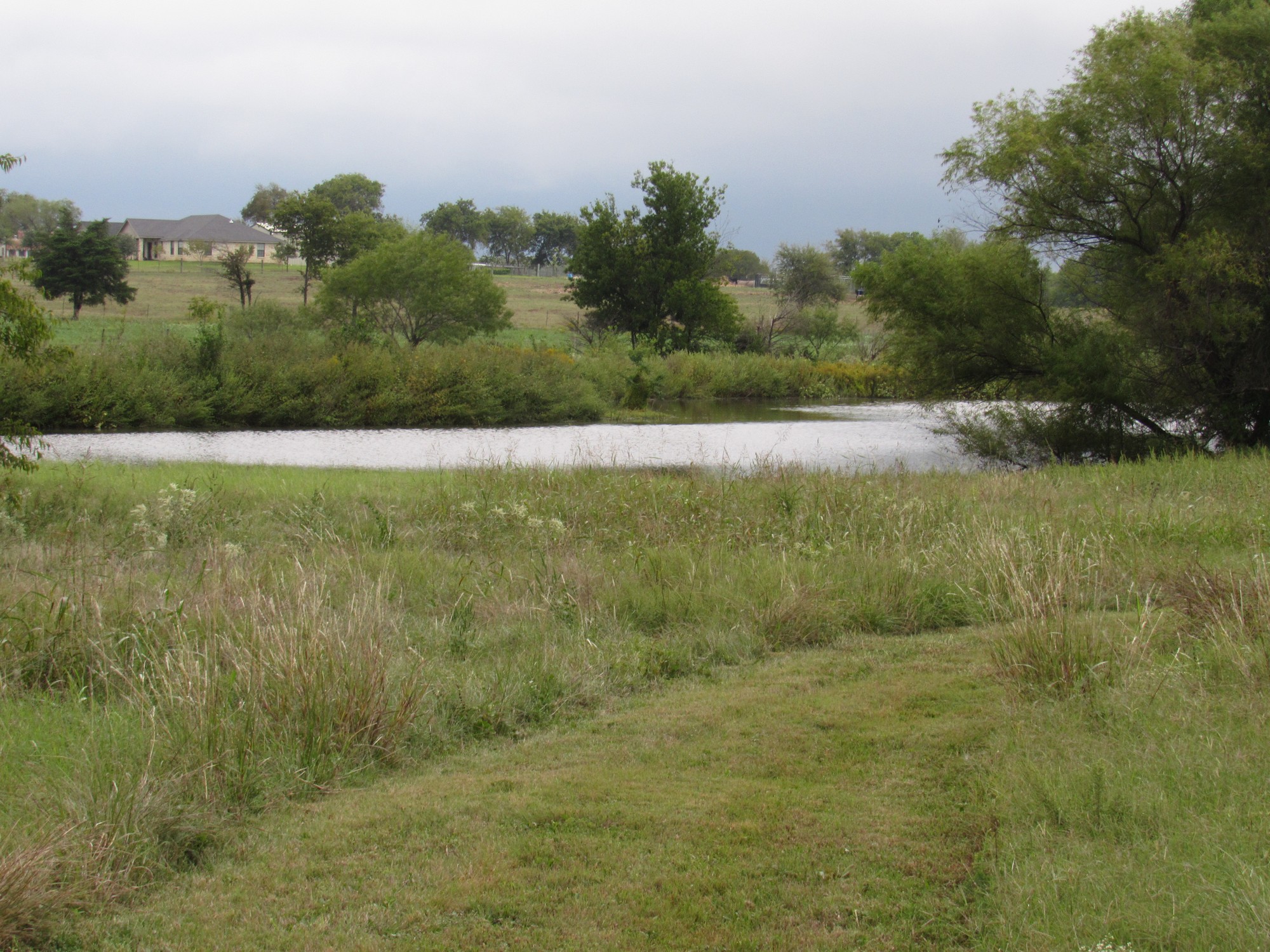 fall pond.jpg