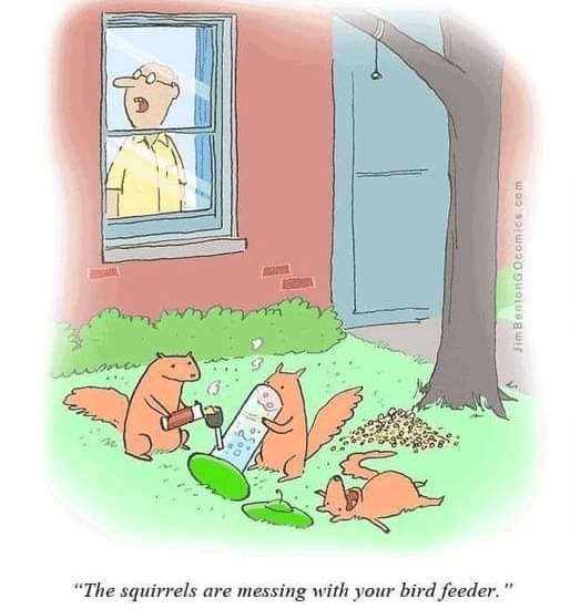FB_IMG_1684680391339.jpg