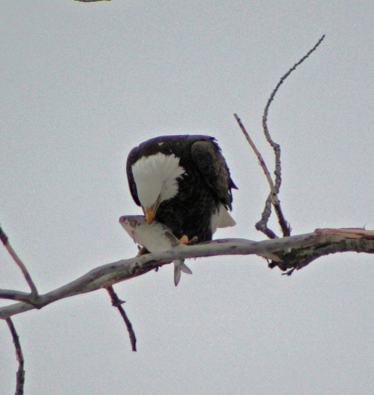 February 23, 2018 351 (2) copy_edited-1.jpg