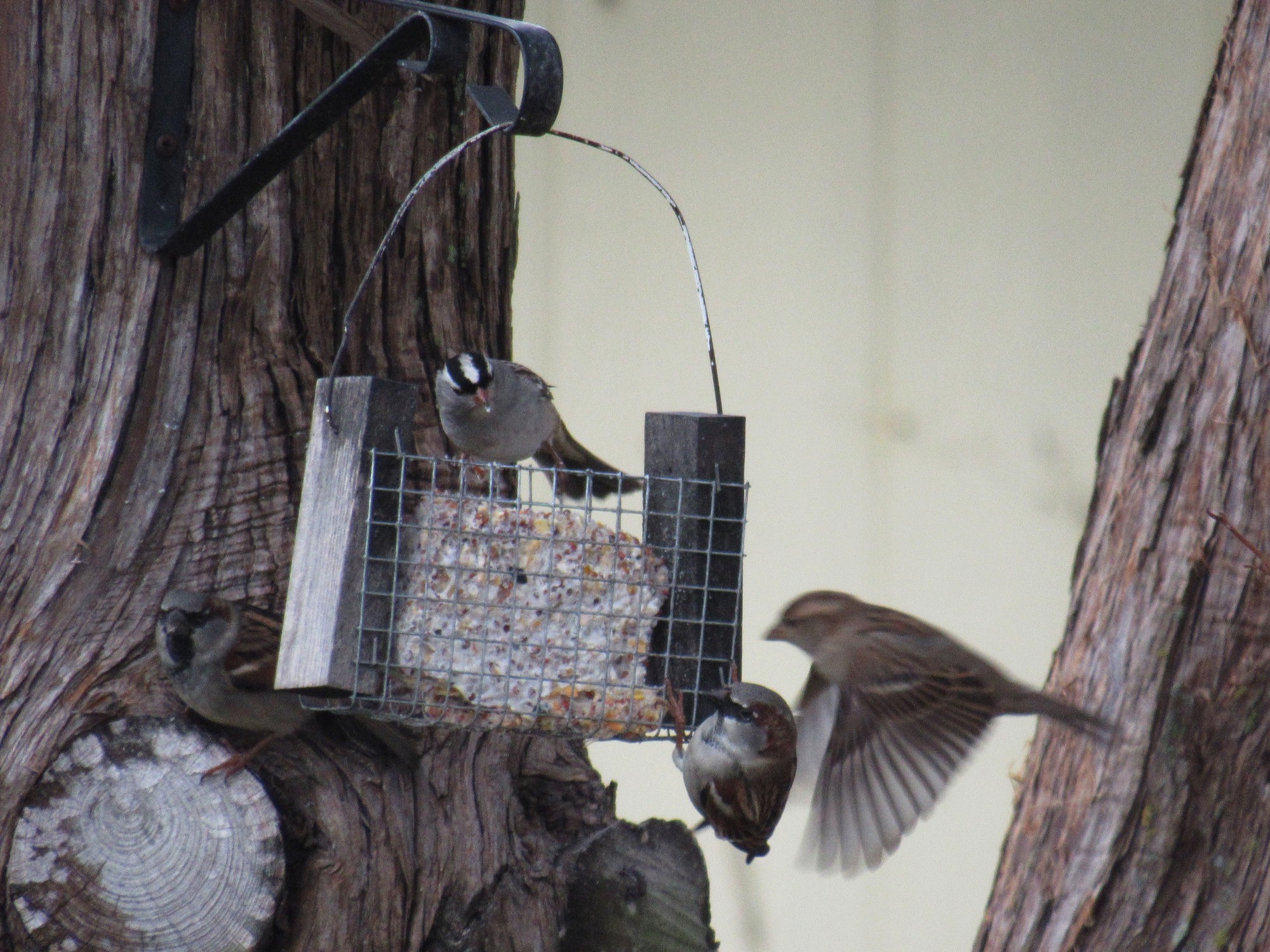 Feeding Time 6.jpg