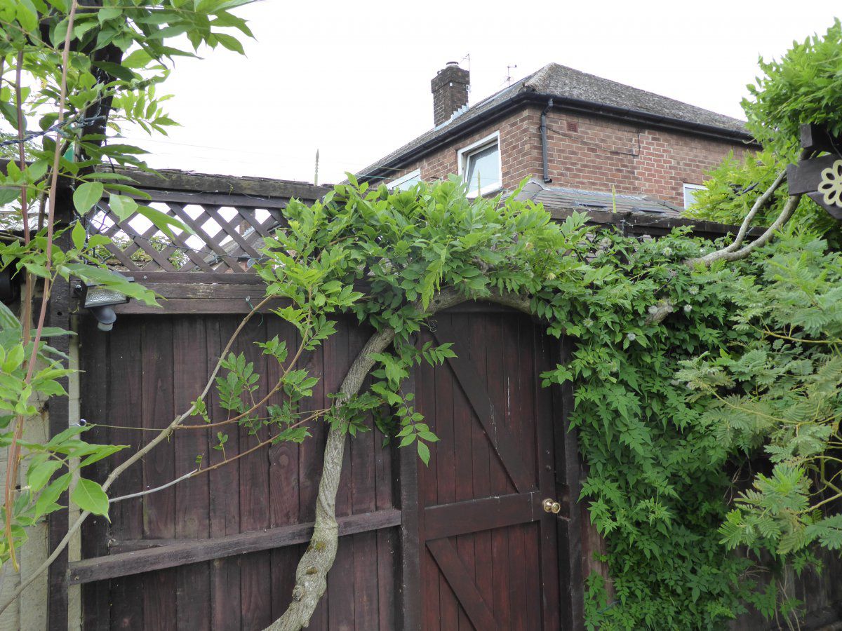 fence 1.JPG