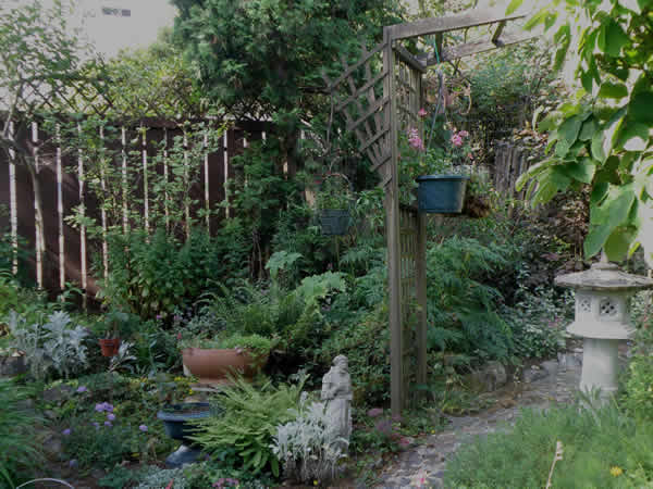 fence.jpg