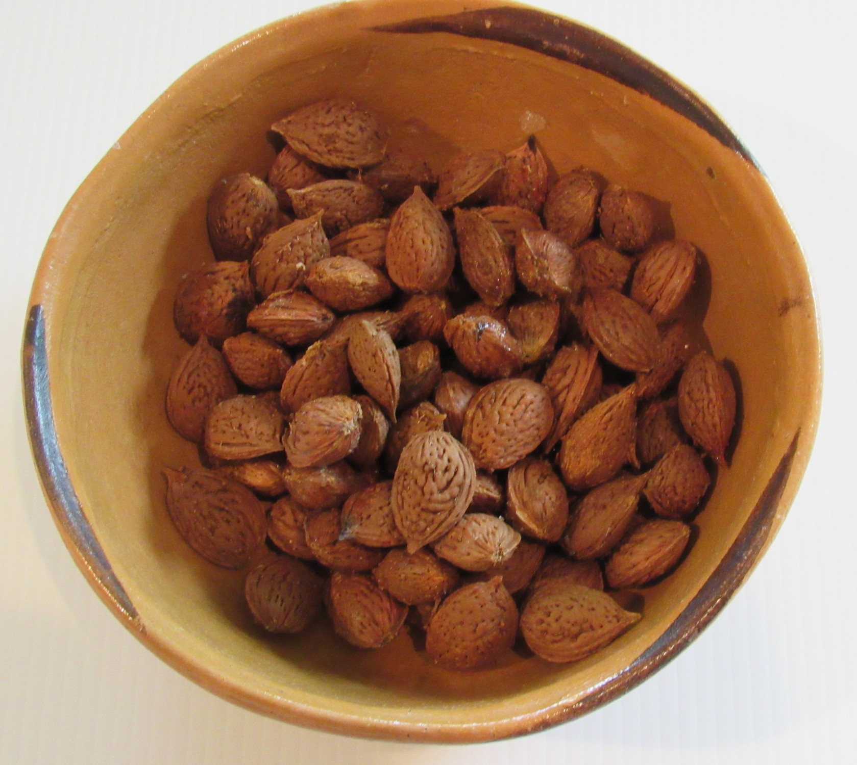 First almond harvest.jpg